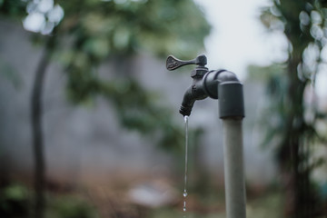 watering flowers in the garden