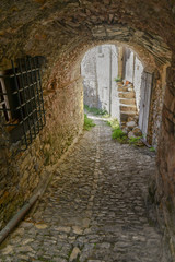 Narrow cobblestone alley under an arch between the typical stone houses of the medieval borough of Colla Micheri, Andora, Liguria, Italy
