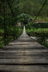 wooden bridge