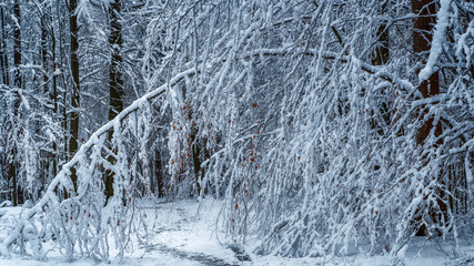 The cold arch - das kalte Portal