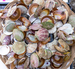 Shells. Market. Rovinj. Croatia. Abstract