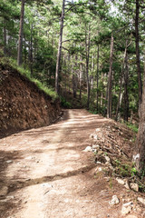 path