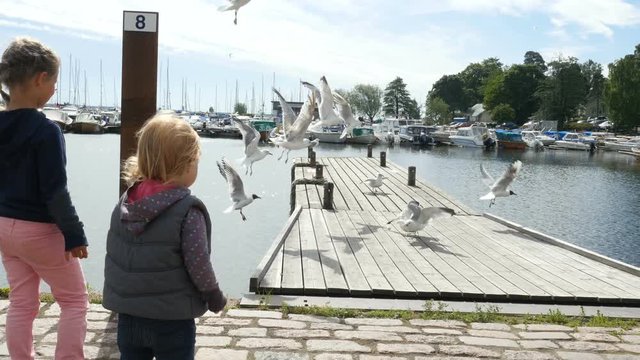 Little girls walking and feeding seagulls on sea shore, harbour