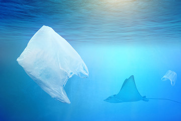 One stingray swimming near plastic bag in the open sea
