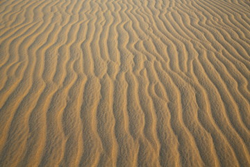 in the middle of the desert