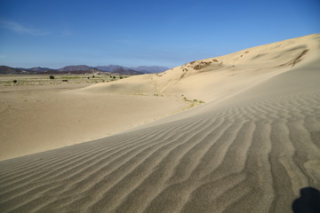 in the middle of the desert