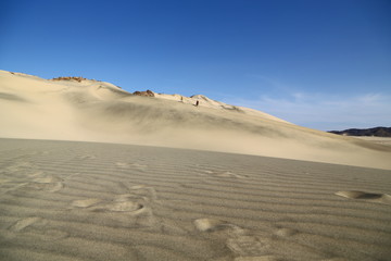 in the middle of the desert