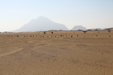 Naklejka na ściany i meble in the middle of the desert