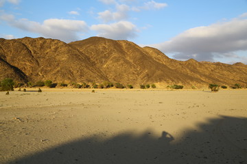 in the middle of the desert