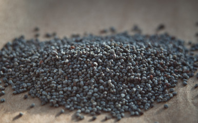 organic poppy seeds. closeup. macro