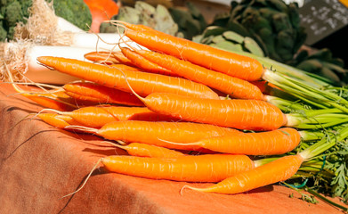 Bunches of carrots in a market stall.