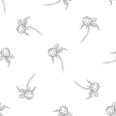 Seamless pattern. Plant in blossom, branch with flower ink sketch. Template for a business card, banner, poster, notebook, invitation, color book