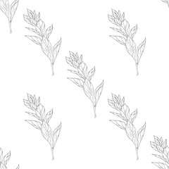 Fototapeta premium Seamless pattern. Plant in blossom, branch with flower ink sketch. Template for a business card, banner, poster, notebook, invitation, color book