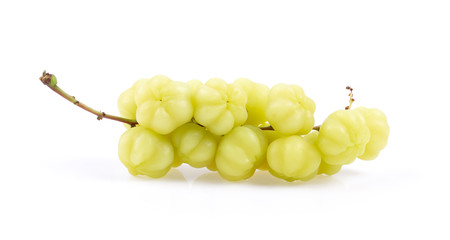Star Gooseberry bunch (Phyllanthus acidus) fruit isolated on white background