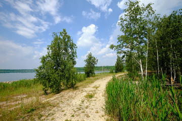 Natur am Großkaynaer See oder Südfeldsee  bei Großkayna - einem ehemaligen Tagebau - in der...