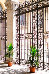 beautiful fence in the courtyard and two green plants in pots