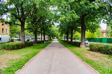 Trees Square Park