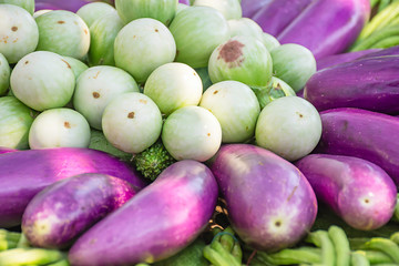 Tomato and eggplant purple The native vegetation of Thailand