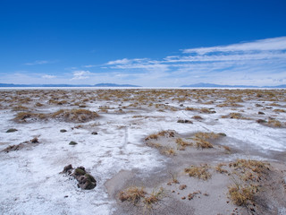 On the edge of the Salinas Grandes salt desert in Northern Argenina
