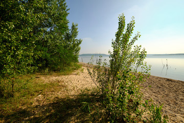 Natur am Geiseltalsee - einem ehemaligen Tagebau - in der Nähe von Merseburg, Sachsen-Anhalt,...