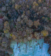 Forest in winter, Arredondo Municipality, Cantabria, Spain, Europe