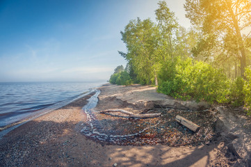 Landscape. foggy forest coast in the morning. distortion perspective fisheye lens