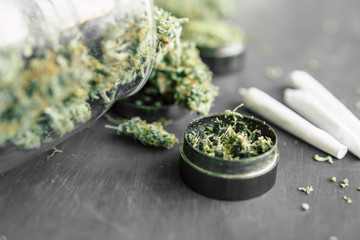 Macro of cannabis buds marijuana with trichomes and crushed weed