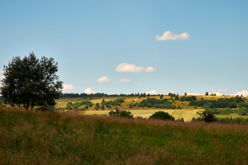 Obraz premium Am Bauersberg, Biosphärenreservat Rhön, Bischofsheim a.d.Rhön, Landkreis Rhön-Grabfeld, Unterfranken, Franken, Bayern, Deutschland.