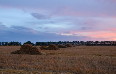 Obraz premium Straw bales on farmland with pink sunset sky