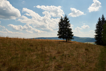 Obraz premium Am Bauersberg, Biosphärenreservat Rhön, Bischofsheim a.d.Rhön, Landkreis Rhön-Grabfeld, Unterfranken, Franken, Bayern, Deutschland.