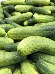 Cucumber fresh cucumber in market - Cucumis sativus