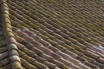 Tejas de un tejado de una casa