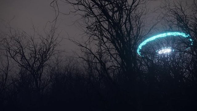 3d ufo flew over the wild forest at night
