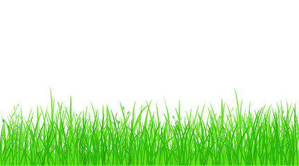 Green grass silhouette on white background