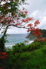 Fernando de Noronha  - Pernambuco/Brasil