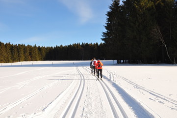 Winter in Ernstthal