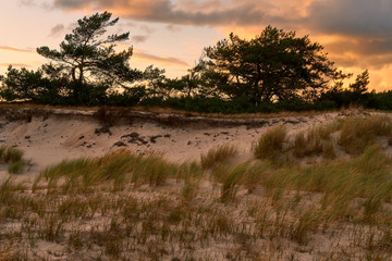 .Abend am Darßer Ort an der Ostsee in der Kernzone des Nationalpark Vorpommersche Boddenlandschaft am Darßer Weststrand, Mecklenburg Vorpommern, Deutschland.