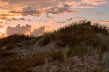 .Abend am Darßer Ort an der Ostsee in der Kernzone des Nationalpark Vorpommersche Boddenlandschaft am Darßer Weststrand, Mecklenburg Vorpommern, Deutschland.