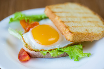 fresh sandwich with lettuce leaves and fried egg with hot toasts