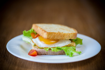 fresh sandwich with lettuce leaves and fried egg with hot toasts