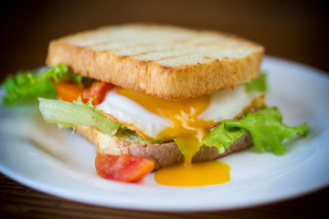 fresh sandwich with lettuce leaves and fried egg with hot toasts