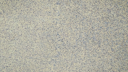 Homogeneous surface of foam concrete, plaster. Abstract natural texture for decoration, banners, prints. Ready frame for design.