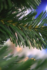 Obraz premium christmas