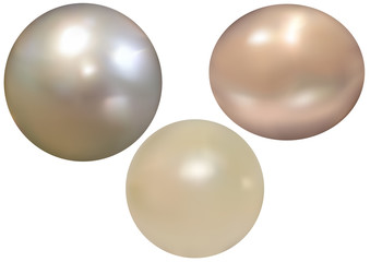 Isolated Pearls on White Background - Detailed Illustration for Your Projects, Vector