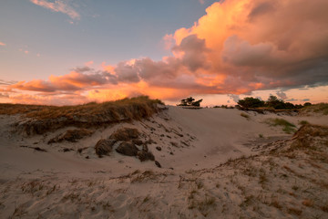 .Abend am Darßer Ort an der Ostsee in der Kernzone des Nationalpark Vorpommersche Boddenlandschaft am Darßer Weststrand, Mecklenburg Vorpommern, Deutschland.