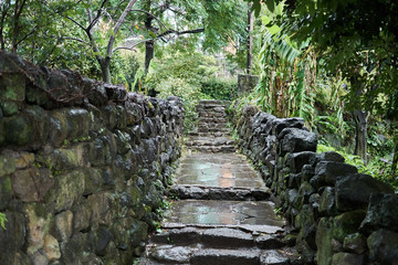Narrow rocky pathway on a rainy day at Jeju Island, South Korea