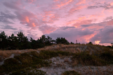 .Abend am Darßer Ort an der Ostsee in der Kernzone des Nationalpark Vorpommersche Boddenlandschaft am Darßer Weststrand, Mecklenburg Vorpommern, Deutschland.
