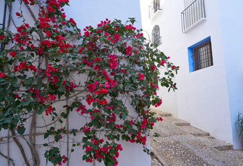 Fototapeta na wymiar Altea white village in Alicante Spain