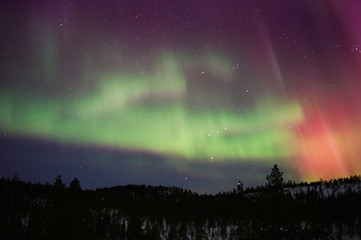 Aurora Borealis and Orion constellation above boreal forest in Finnish Lapland.