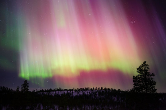 Aurora Borealis, Orion constellation and The Pleiades above boreal forest in Finnish Lapland.